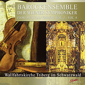 Thumbnail for the Baroque Ensemble of the Vienna Symphony Orchestra - I. Allegro molto link, provided by host site