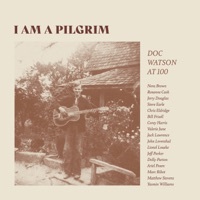 Thumbnail for the Rosanne Cash - I Am a Pilgrim link, provided by host site