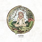 Thumbnail for the Canary - I Am Lion link, provided by host site