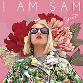 Thumbnail for the Sam Bruno - I Am Sam Pt. 1 link, provided by host site