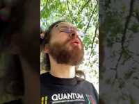 Thumbnail for the David Prorok - I ate the soup and never paid (rock ballad) link, provided by host site