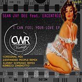 Thumbnail for the Sean Jay Dee - I Can Feel Your Love link, provided by host site
