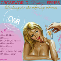 Thumbnail for the Sean Jay Dee - I Can Feel Your Love - Original Mix link, provided by host site