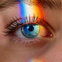 Thumbnail for the Neither - i can see... link, provided by host site