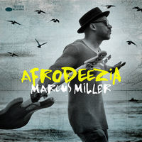 Thumbnail for the Marcus Miller - I Can’t Breathe link, provided by host site