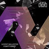 Thumbnail for the Vicent Ballester - I Can't Forget link, provided by host site