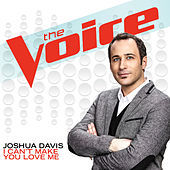 Thumbnail for the Joshua Davis - I Can’t Make You Love Me link, provided by host site