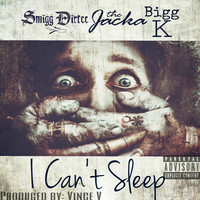 Thumbnail for the Smigg Dirtee - I Can't Sleep link, provided by host site