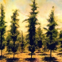 Thumbnail for the David Crosby - I'd Swear There Was Somebody Here link, provided by host site