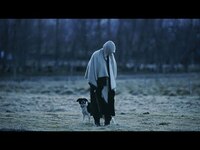 Thumbnail for the Quadeca - I Didn't Mean To Haunt You (Full Album Movie) link, provided by host site