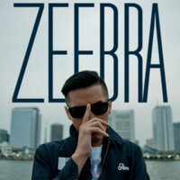 Image of Zeebra linking to their artist page due to link from them being at the top of the main table on this page