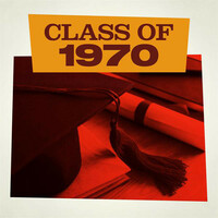 Thumbnail for the The Three Degrees - I Do Take You link, provided by host site