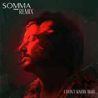Thumbnail for the AVAION - I don't know why (SOMMA Remix) link, provided by host site