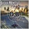 Thumbnail for the Sasha Primitive - I Don't Wanna Miss link, provided by host site
