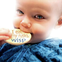 Thumbnail for the Wisp - I Eat My Rusks link, provided by host site