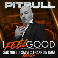 Thumbnail for the Pitbull - I Feel Good (Sak Noel X Salvi X Franklin Dam Remix) link, provided by host site