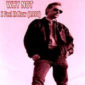 Thumbnail for the Why Not - I Feel It Now (1990) link, provided by host site