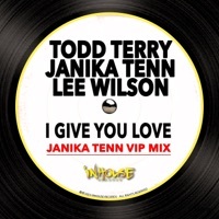 Thumbnail for the Todd Terry - I Give You Love (Janika Tenn VIP Mix) link, provided by host site