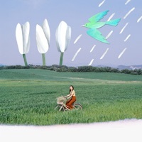 Thumbnail for the Stella Jang - I Go link, provided by host site