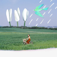 Thumbnail for the Stella Jang - I Go link, provided by host site