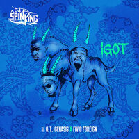 Thumbnail for the DJ Spinking - I Got link, provided by host site
