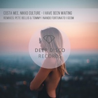 Thumbnail for the Nikko Culture - I Have Been Waiting [Pete Bellis & Tommy Remix] link, provided by host site