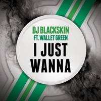 Thumbnail for the DJ Blackskin - I Just Wanna (DJ Edit) link, provided by host site