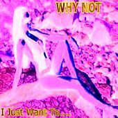 Thumbnail for the Why Not - I Just Want To (2005) link, provided by host site