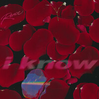 Thumbnail for the Rence - I know link, provided by host site