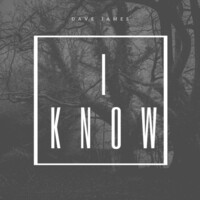 Thumbnail for the Dave James - I Know link, provided by host site