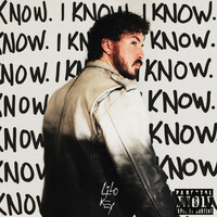 Image of Lilo Key linking to their artist page due to link from them being at the top of the main table on this page