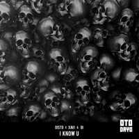 Thumbnail for the DISTO - I Know U link, provided by host site
