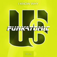 Thumbnail for the Funkatomic - I Know Why link, provided by host site