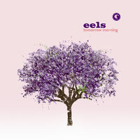 Thumbnail for the Eels - I Like the Way This Is Going link, provided by host site