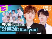 Thumbnail for the Ciipher - ✨비 아들램들 드디어 데뷔✨ 싸이퍼의 온도차이는 이정도😎 어디에도 안꿀려 | I like you | 내돌의 온도차 | GAP CRUSH link, provided by host site