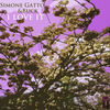 Image of Simone Gatto linking to their artist page due to link from them being at the top of the main table on this page