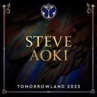 Thumbnail for the Steve Aoki - I Love It When You Cry (Moxoki) [Mixed] link, provided by host site