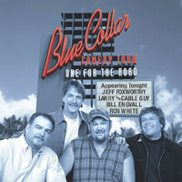 Thumbnail for the Bill Engvall - I'm an Idiot link, provided by host site