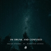 Thumbnail for the Shiloh Dynasty - I'm drunk and Confused link, provided by host site