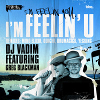 Thumbnail for the DJ Vadim - I'm Feelin'U link, provided by host site