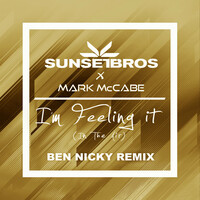 Thumbnail for the Sunset Bros - I'm Feeling It (In The Air) [Sunset Bros X Mark McCabe / Ben Nicky Remix] link, provided by host site