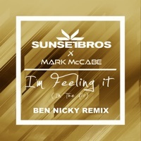Thumbnail for the Sunset Bros - I'm Feeling It (In The Air) [Sunset Bros X Mark McCabe / Ben Nicky Remix] link, provided by host site