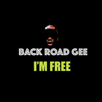 Thumbnail for the BackRoad Gee - I'M FREE link, provided by host site