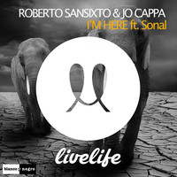Thumbnail for the Roberto Sansixto - I'm Here link, provided by host site