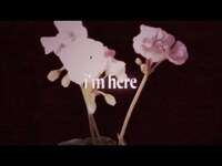 Thumbnail for the Sarah Cothran - I'm Here link, provided by host site