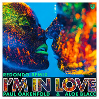 Thumbnail for the Paul Oakenfold - I’m in Love (Redondo Remix) link, provided by host site