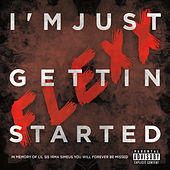 Thumbnail for the Flexx - I'm Just Gettin Started link, provided by host site