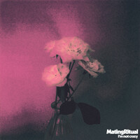 Thumbnail for the Mating Ritual - I’m Not Crazy link, provided by host site