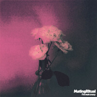 Thumbnail for the Mating Ritual - I'm Not Crazy link, provided by host site