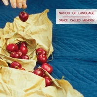 Thumbnail for the Nation of Language - I'm Not Ready for the Change link, provided by host site